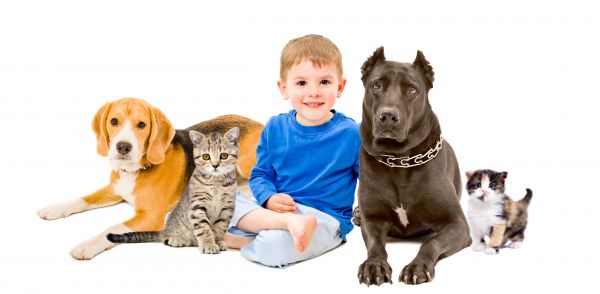 Kalispell Pets