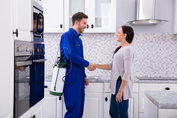 Kalispell Pest Control Service