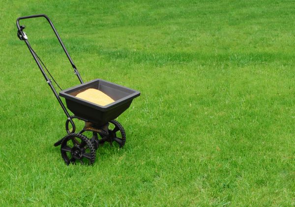Kalispell Lawn Treatment